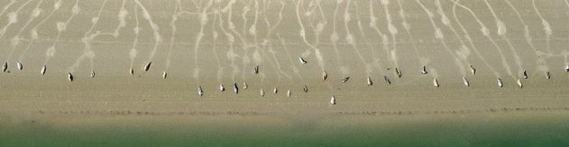 Aarden op de Oosterschelde